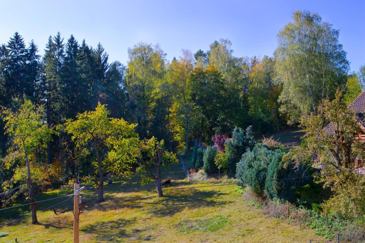 Pension Haus Fuerstenberg Beierfeld Zewnętrze zdjęcie