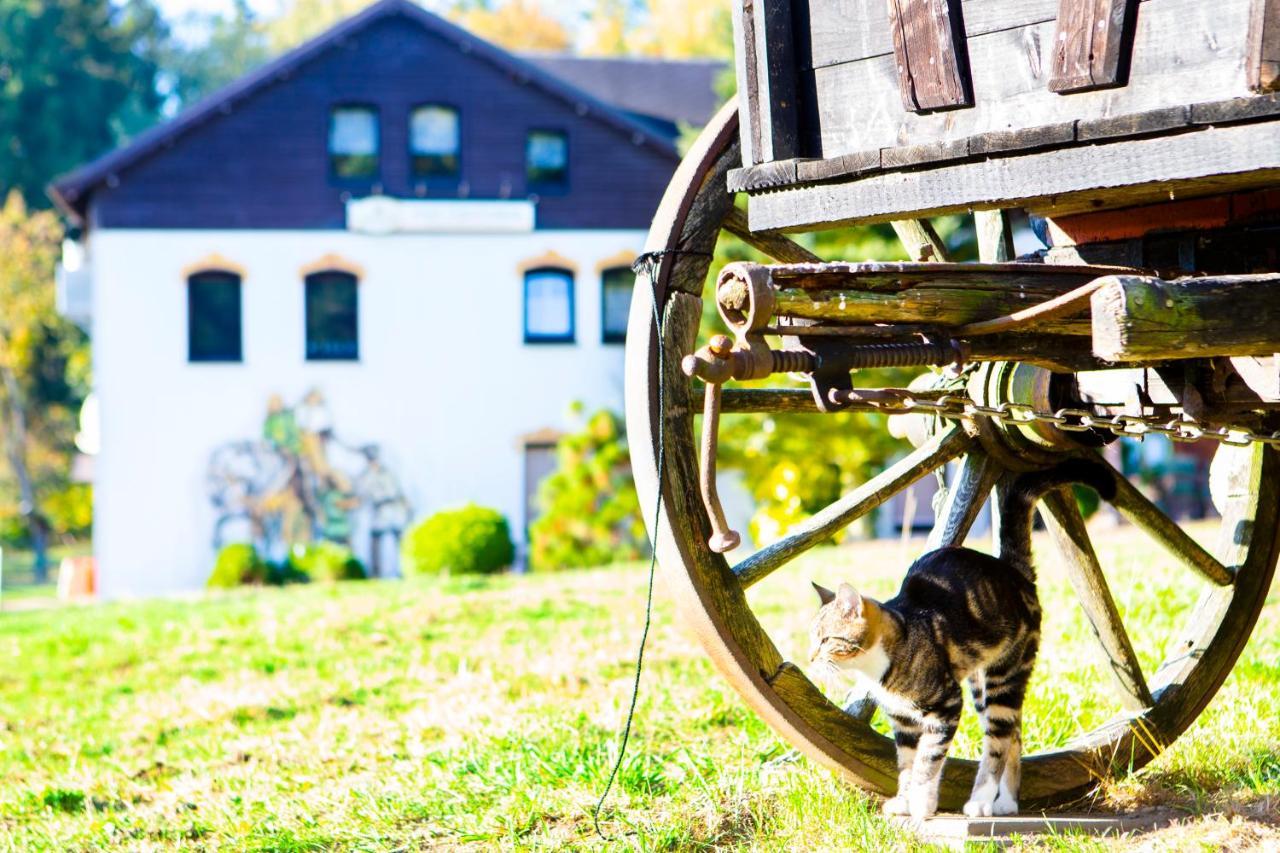 Pension Haus Fuerstenberg Beierfeld Zewnętrze zdjęcie