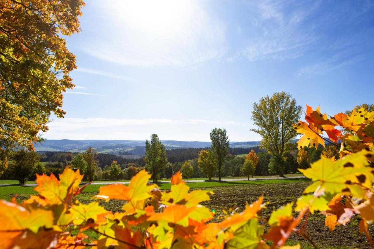 Pension Haus Fuerstenberg Beierfeld Zewnętrze zdjęcie